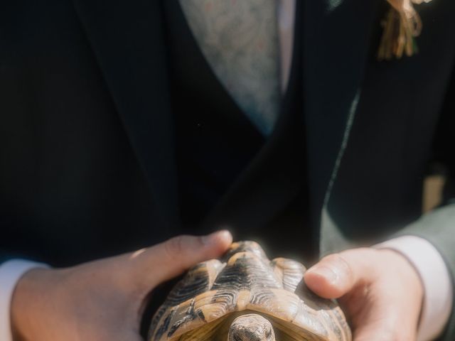 Le mariage de Stéphane et Marie à Lacenas, Rhône 31
