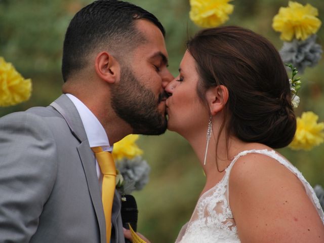 Le mariage de Alexandre et Claire à Arbonne la Forêt, Seine-et-Marne 2