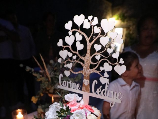 Le mariage de Cédryc et Carine à Penne-d'Agenais, Lot-et-Garonne 5