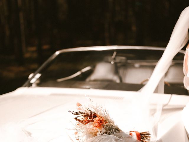 Le mariage de Nicolas et Pauline à Arsac, Gironde 28