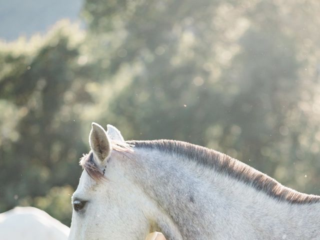 Le mariage de Nicolas et Virginie à Simiane-la-Rotonde, Alpes-de-Haute-Provence 21
