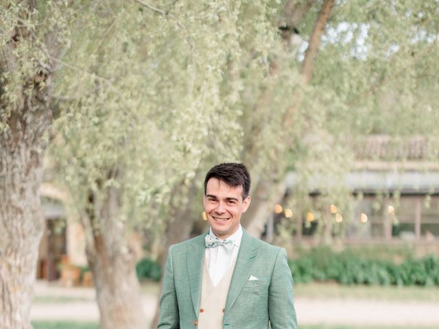 Le mariage de Nicolas et Virginie à Simiane-la-Rotonde, Alpes-de-Haute-Provence 35