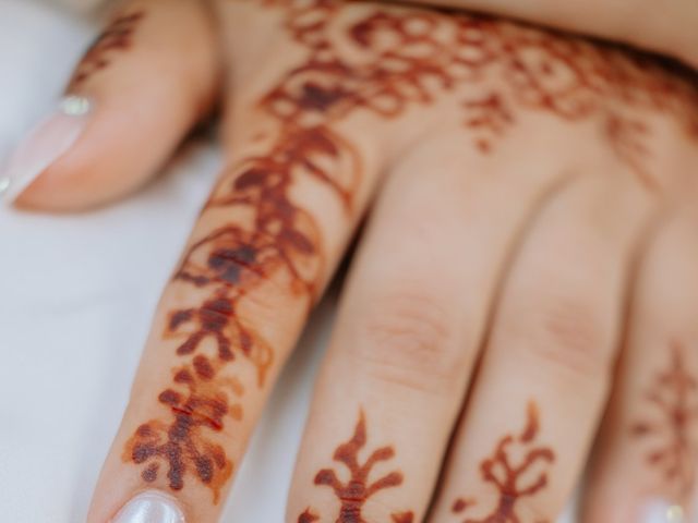 Le mariage de Amir et Dalal à Trancrainville, Eure-et-Loir 3