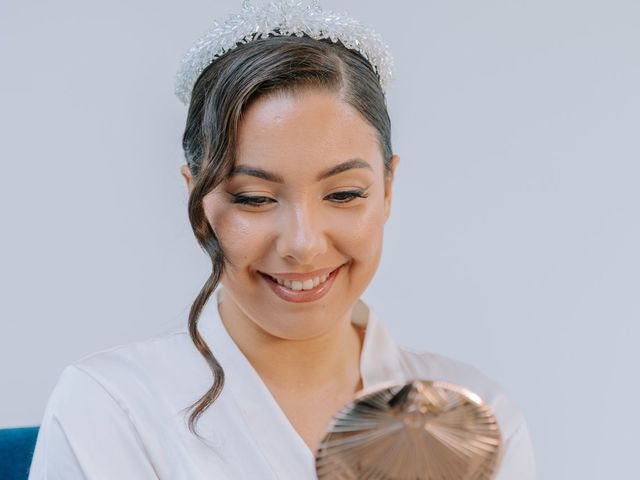 Le mariage de Amir et Dalal à Trancrainville, Eure-et-Loir 7
