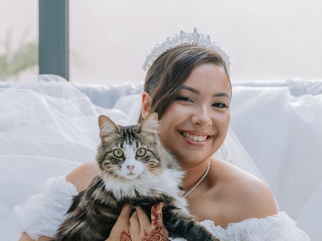Le mariage de Amir et Dalal à Trancrainville, Eure-et-Loir 17
