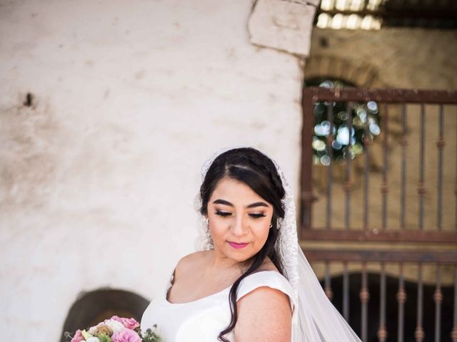 Le mariage de Jorge et Tere à Toulon, Var 21