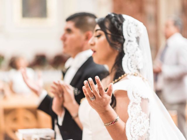 Le mariage de Jorge et Tere à Toulon, Var 52