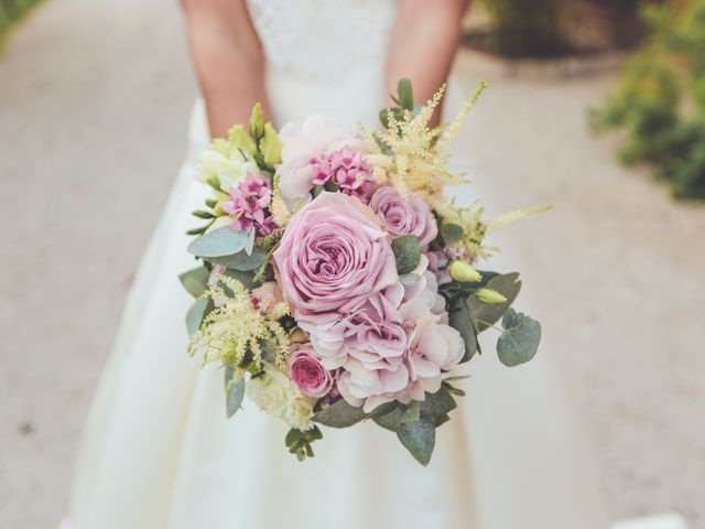 Le mariage de Brice et Alice à Seilh, Haute-Garonne 15