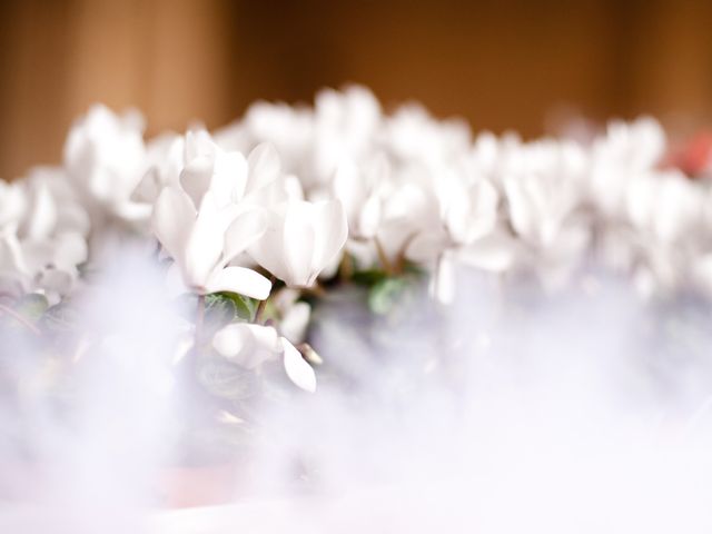 Le mariage de Marc-Emmanuel et Mélanie à Vallery, Yonne 4