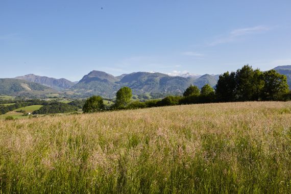 Le mariage de Cédric et Matthieu à Aramits, Pyrénées-Atlantiques 52