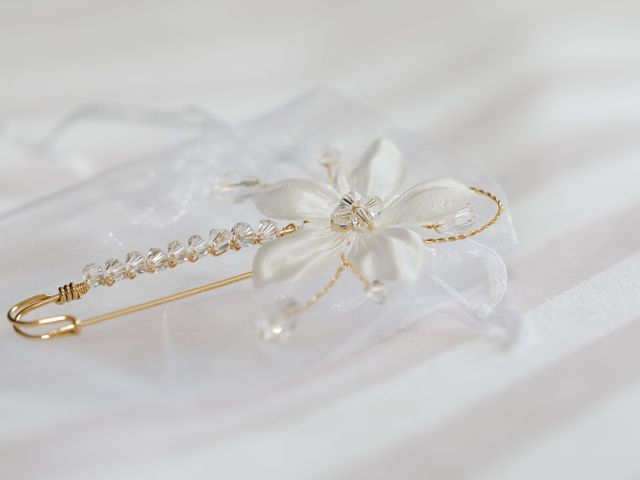 Le mariage de Arnaud et Anne-Sophie à Theys, Isère 2