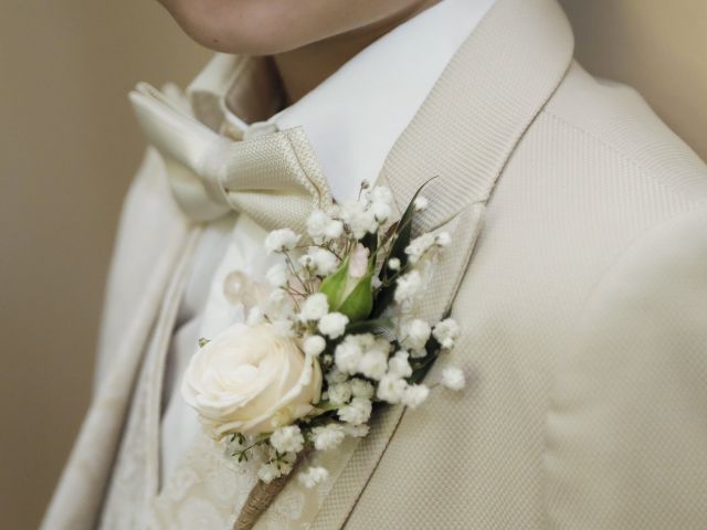 Le mariage de Arnaud et Anne-Sophie à Theys, Isère 21