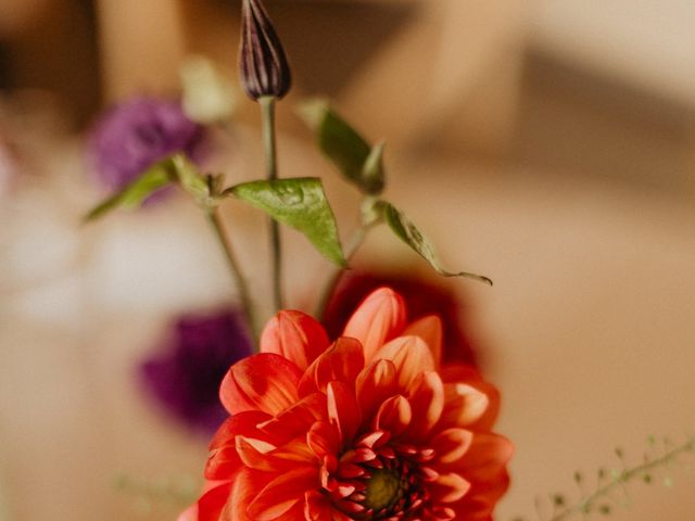 Le mariage de Nicolas et Lisa à Sault, Vaucluse 34