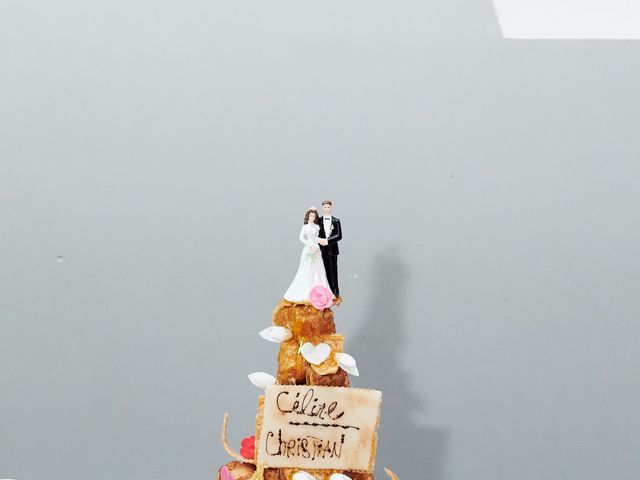 Le mariage de Céline et Christian à Bourgoin-Jallieu, Isère 66