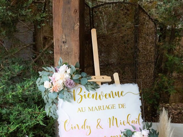 Le mariage de Mickaël et Cindy à Le Plessis-aux-Bois, Seine-et-Marne 2