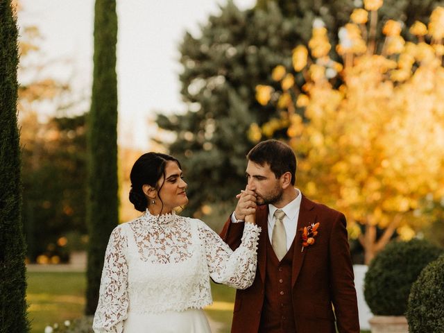 Le mariage de Gauthier et Anastassia à Cavaillon, Vaucluse 33