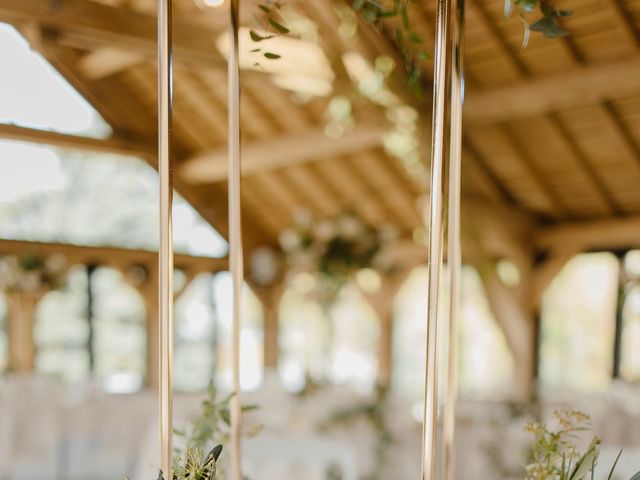 Le mariage de Jérémy et Alexis à Rosny-sur-Seine, Yvelines 31