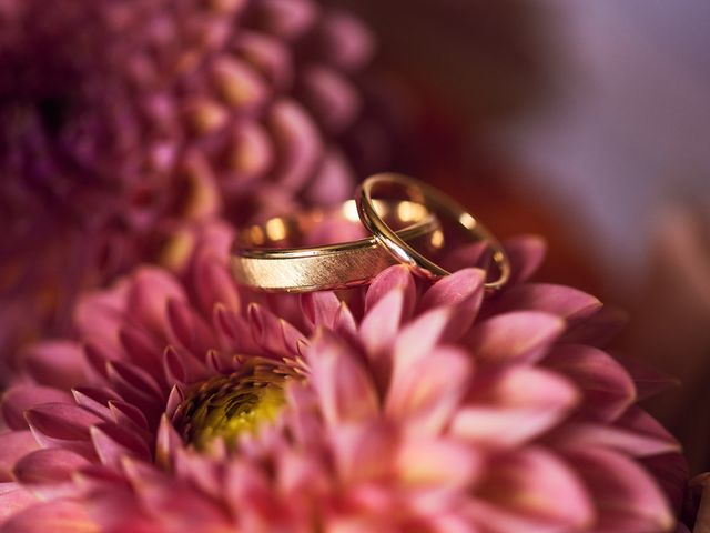 Le mariage de Julien et Laura à Bourgoin-Jallieu, Isère 2