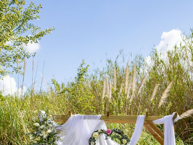 Le mariage de Christophe et Nicolas à Saint-Rémy-de-Provence, Bouches-du-Rhône 11