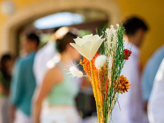 Le mariage de Christophe et Nicolas à Saint-Rémy-de-Provence, Bouches-du-Rhône 25