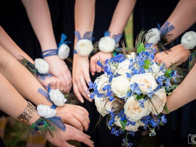 Le mariage de Guillaume et Audrey à Les Molières, Essonne 19