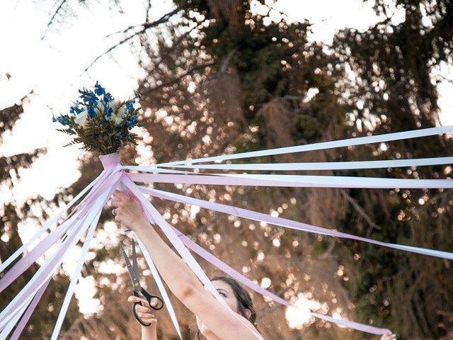 Le mariage de Guillaume et Audrey à Les Molières, Essonne 29