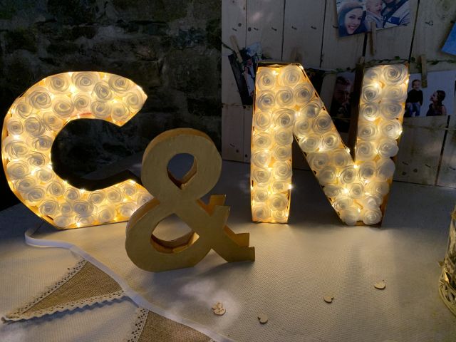 Le mariage de Celine et Nicolas et Celine à Plerguer, Ille et Vilaine 7
