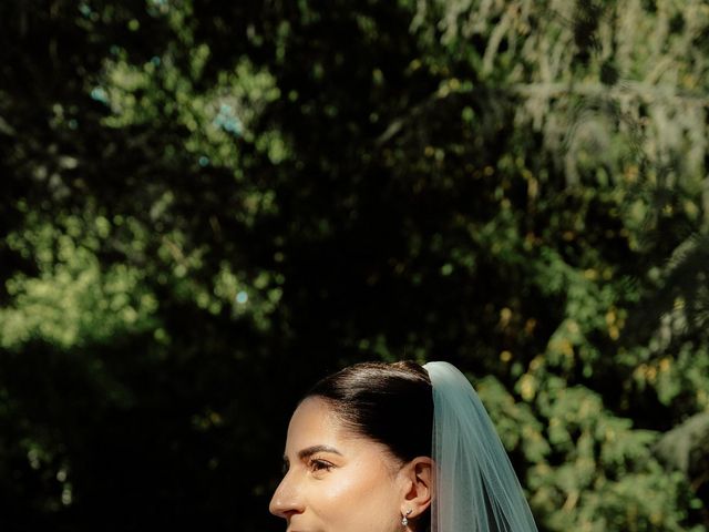 Le mariage de Berkmans et Laura à Chalamont, Ain 19