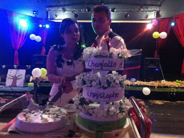 Le mariage de Christophe et Charlotte à Enval, Puy-de-Dôme 15