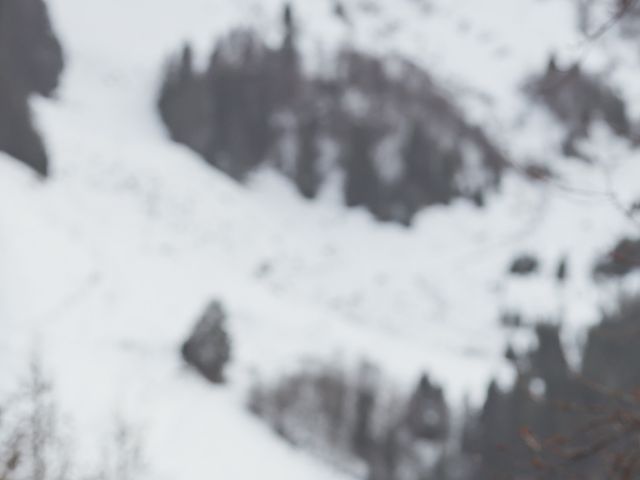 Le mariage de Floris et Laura à Le Reposoir, Haute-Savoie 53