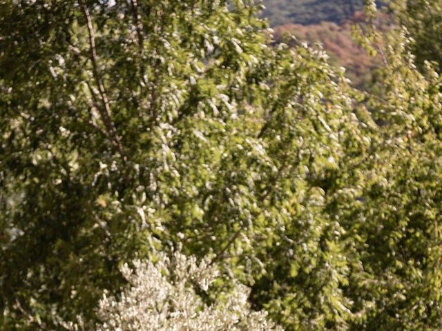 Le mariage de Quentin et Célia à Nyons, Drôme 86