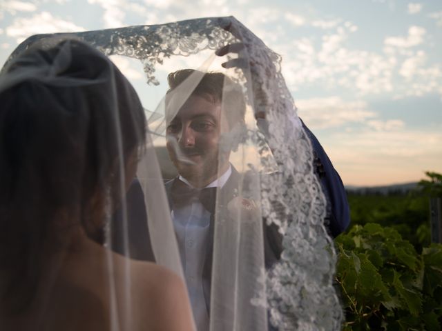 Le mariage de Christophe et Alina à Solliès-Ville, Var 82