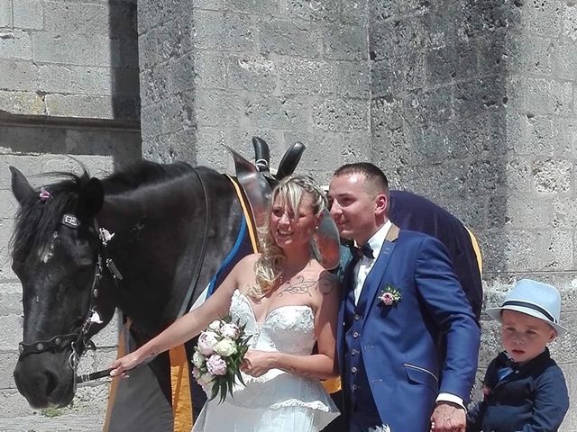 Le mariage de Nicolas  et Charlène  à Chécy, Loiret 10