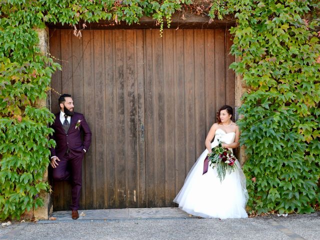 Le mariage de Lionel et Vanessa à Saint-Amour-Bellevue, Saône et Loire 25