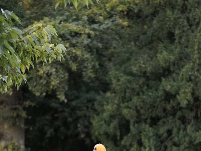 Le mariage de David et Kelly à Châteauneuf-sur-Loire, Loiret 3
