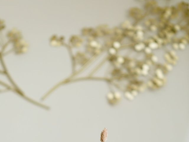 Le mariage de David et Kelly à Châteauneuf-sur-Loire, Loiret 6