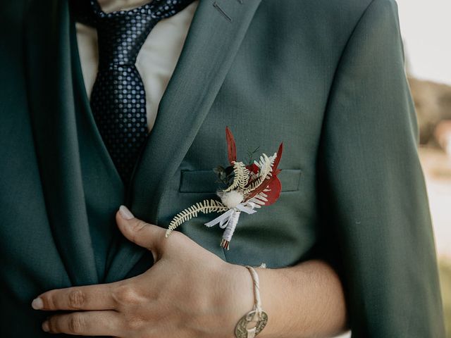 Le mariage de Quentin et Blandine à Pocé-sur-Cisse, Indre-et-Loire 6