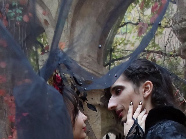 Le mariage de Mickael et Isabelle à Grabels, Hérault 7