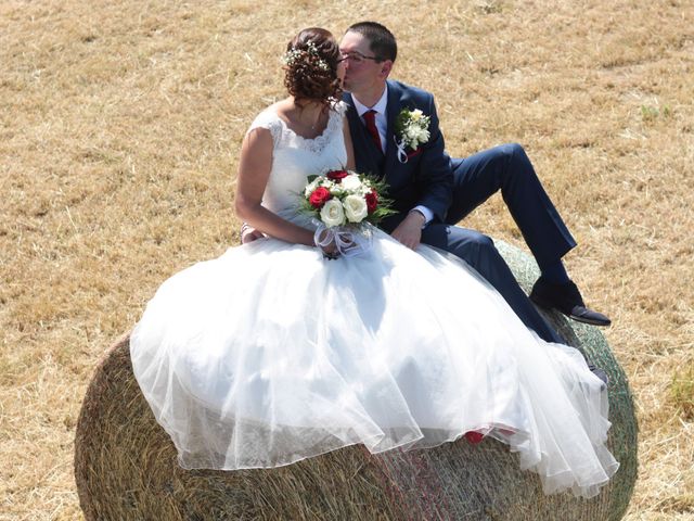 Le mariage de Loulou et Elodie à Hennezis, Eure 10