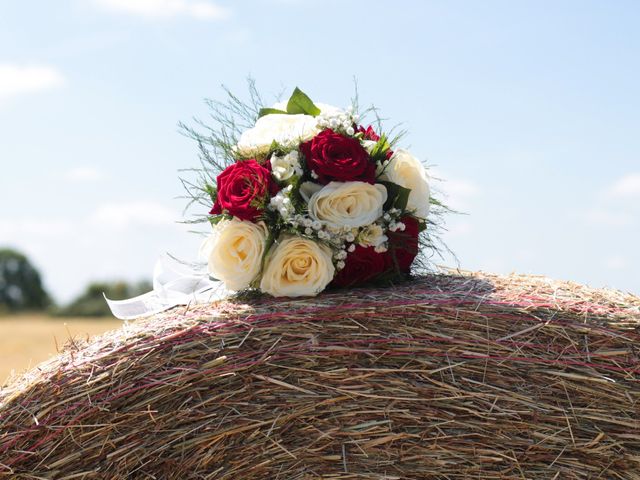 Le mariage de Loulou et Elodie à Hennezis, Eure 12
