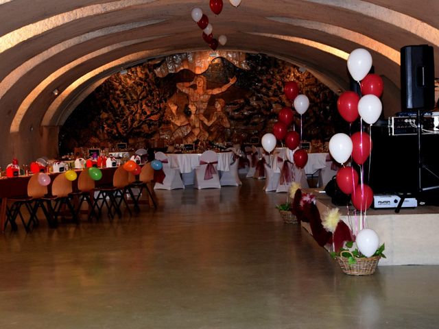 Le mariage de Laetitia et Chrystelle à Belleville, Rhône 34