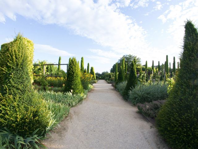 Le mariage de Jean Michel et Clara à Pertuis, Vaucluse 9