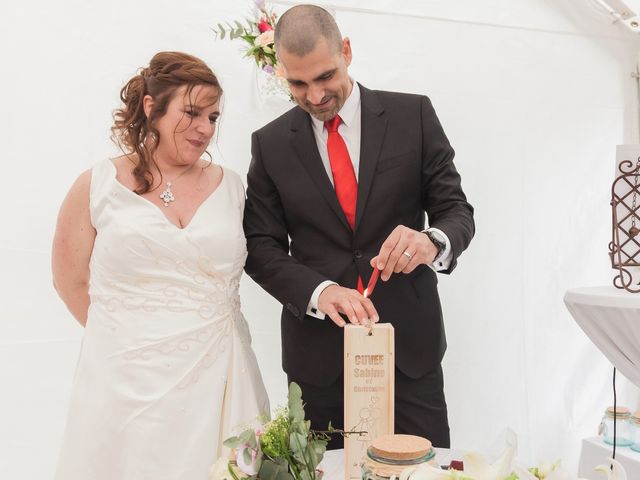 Le mariage de Christophe et Sabine à Draillant, Haute-Savoie 8