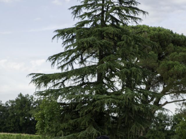 Le mariage de Olivier et Caroline à Puycelci, Tarn 39
