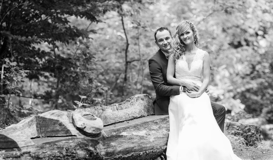 Le mariage de Céline et Sébastien à Essey-lès-Nancy, Meurthe-et-Moselle