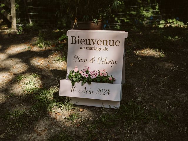 Le mariage de Célestin et Clara à Beaulieu-sur-Loire, Loiret 24