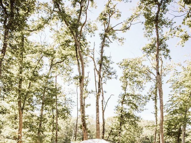 Le mariage de Célestin et Clara à Beaulieu-sur-Loire, Loiret 39