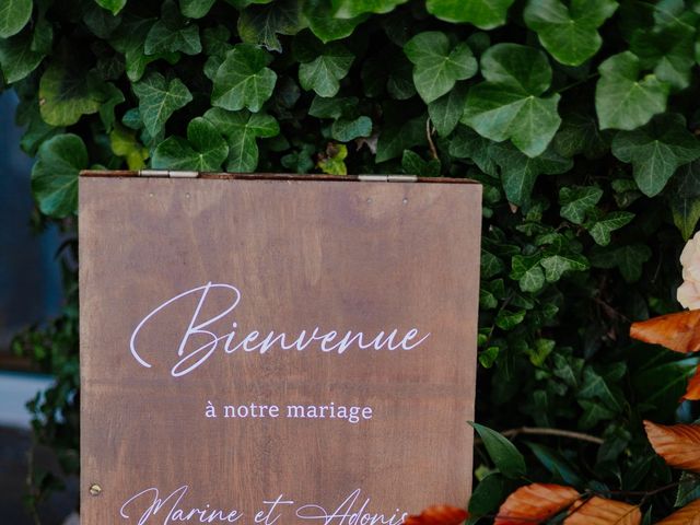 Le mariage de Adonis et Marine à Méréville, Meurthe-et-Moselle 52