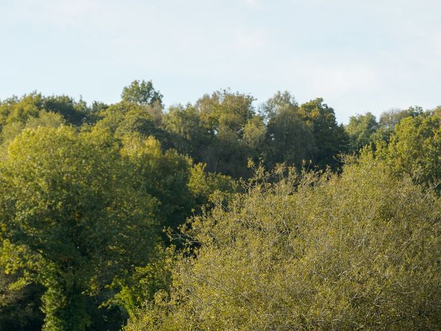 Le mariage de David et Anne-Laure à Pluméliau, Morbihan 79