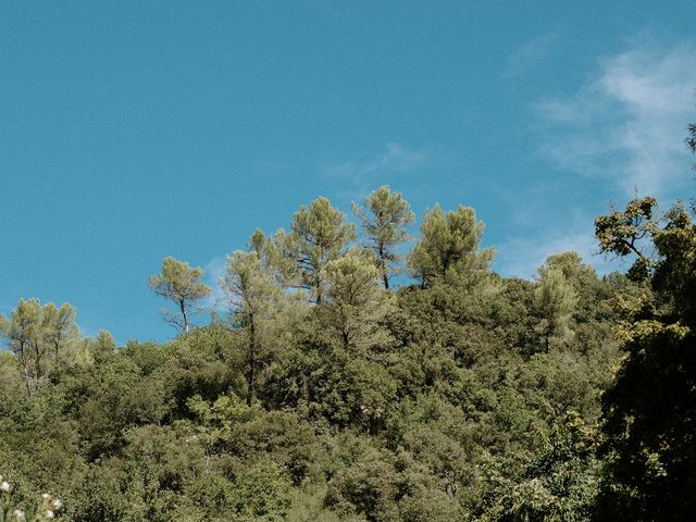 Le mariage de Anis et Vicky à Signes, Var 4